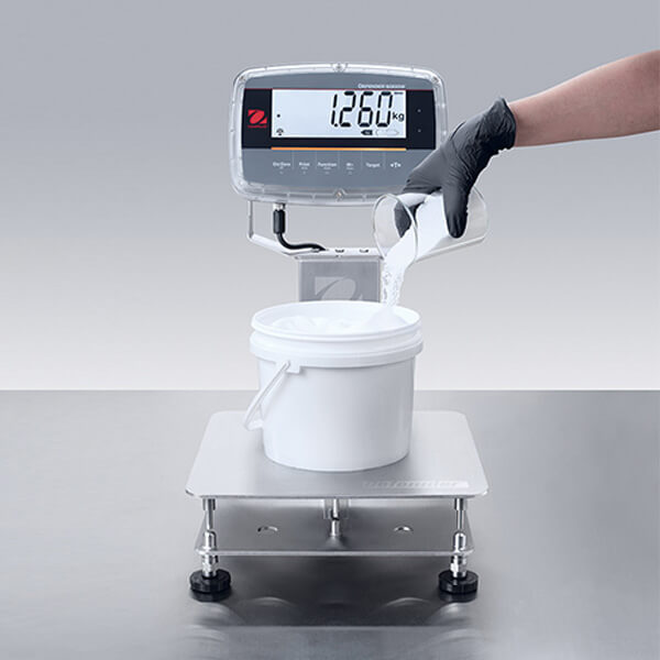 Bench Scales